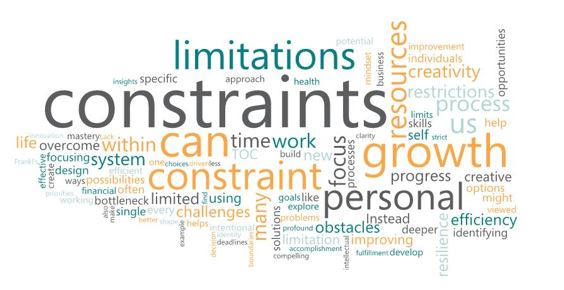Thriving Within Limits: Harnessing Constraints - Linda L. Pilcher