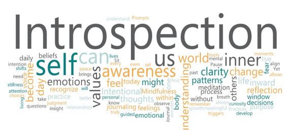 Turning Inward: The Transformative Power of Introspection - Linda L ...